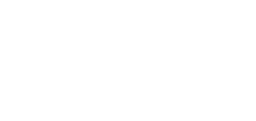 FJD Trion S1 icon